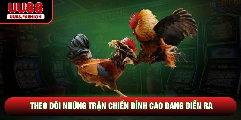 Theo dõi những trận chiến đỉnh cao đang diễn ra