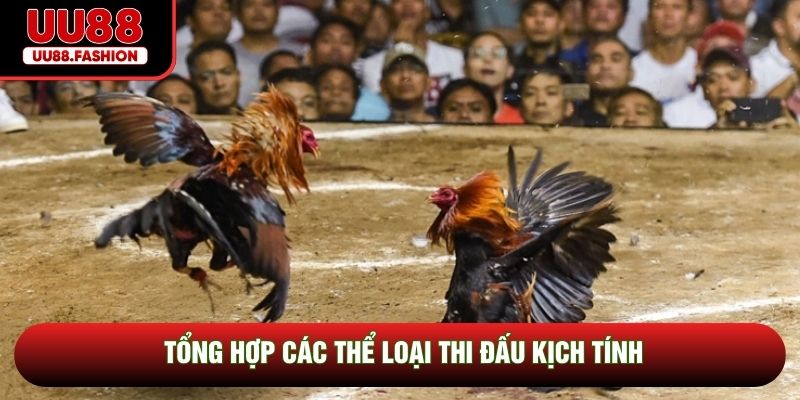 Tổng hợp các thể loại thi đấu kịch tính